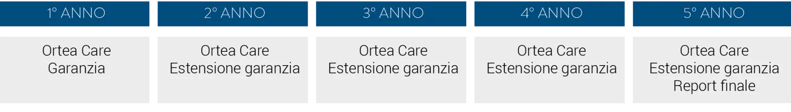 ORTEACARE-1IT-T1