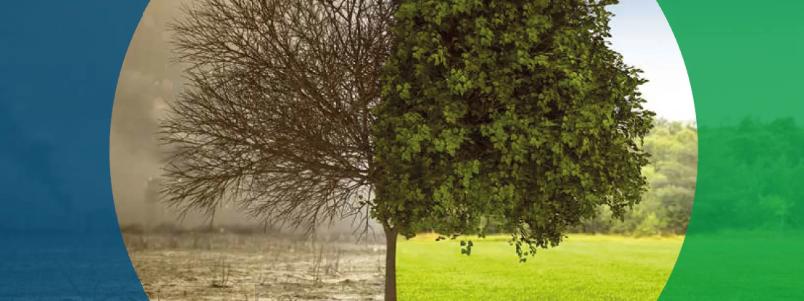 IL CALENDARIO DA TAVOLO ORTEA 2022: THINK GREEN